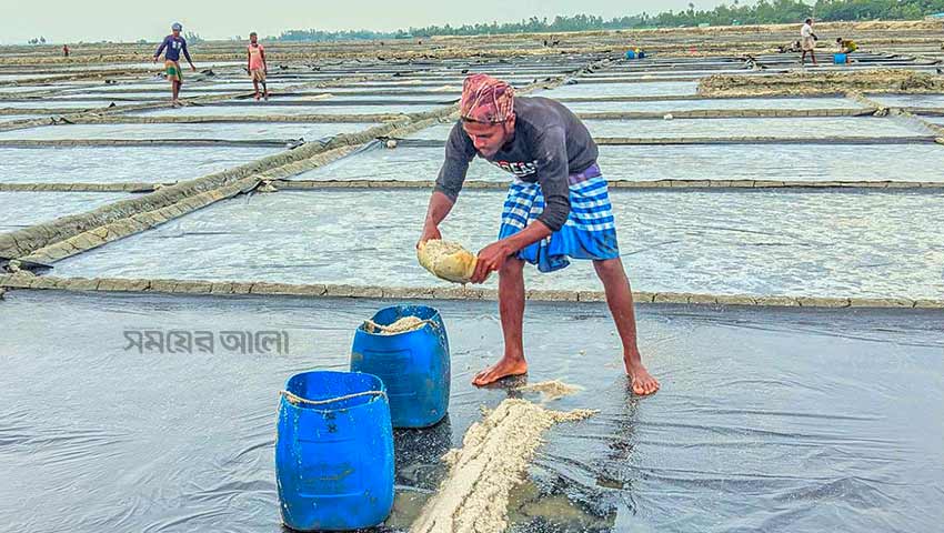 লবণ আমদানির খবরে চাষিদের কপালে চিন্তার ভাঁজ