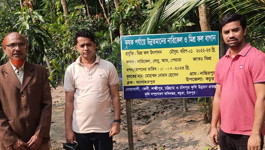 মিশ্র ফল চাষে সফলতার স্বপ্ন দেখছেন শিক্ষক নোমান 