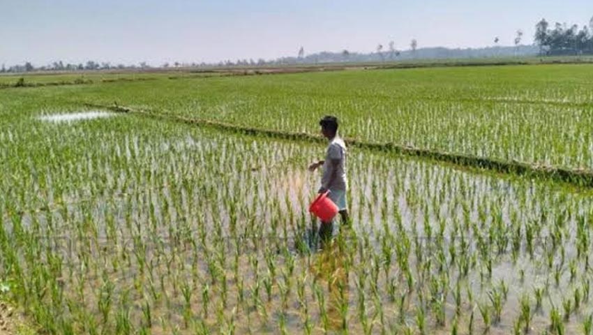 সীমান্তের এপারে কিছুটা স্বস্তি ফিরলেও আতঙ্ক রয়ে গেছে। ঘরছাড়া মানুষগুলো নিজ বাড়িতে ফিরেছেন। আর কৃষকরা আবারো মাঠে নেমেছেন । ছবি: সময়ের আলো