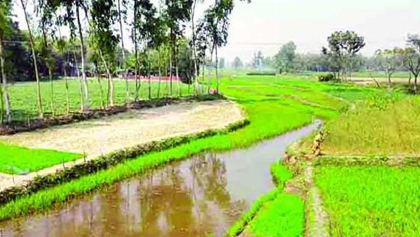 মানস নদীর বুক জুড়ে চলছে চাষাবাদ