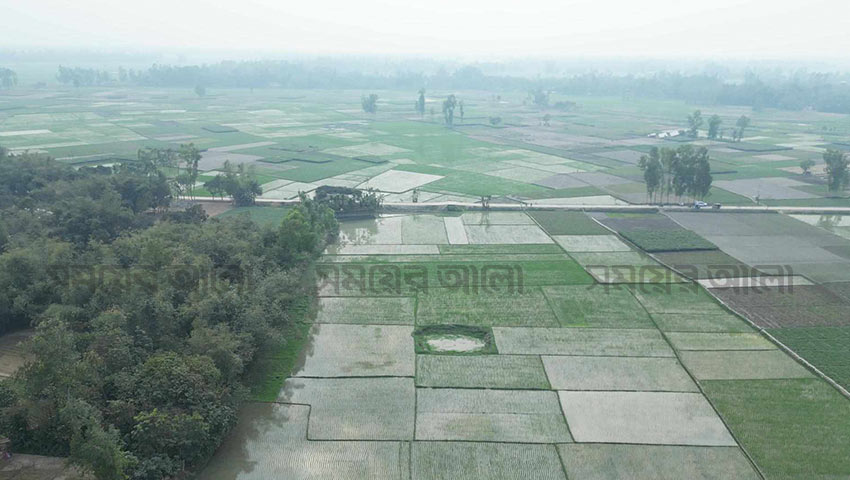 দিগন্ত বিস্তৃত ফসলি জমি। রয়েছে চলাচলের জন্য পাকা রাস্তা। কিন্তু মানুষ নেই। গাইবান্ধায় জনমানবশূন্য গ্রাম পশ্চিম ভবানীপুর। ছবি: সময়ের আলো
