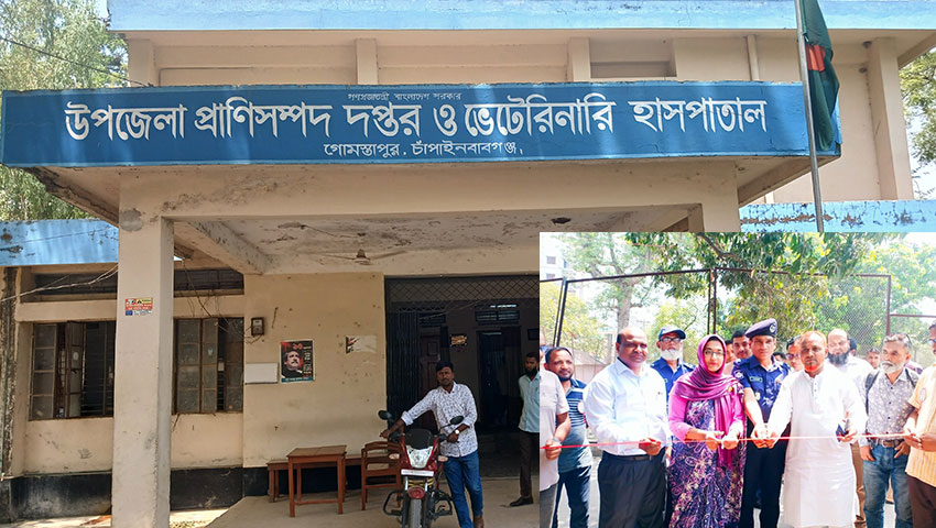 প্রাণিসম্পদ প্রদর্শনী: দায়সারা আয়োজনে খামারিদের ক্ষোভ, বরাদ্দের টাকা ‘নয়ছয়’