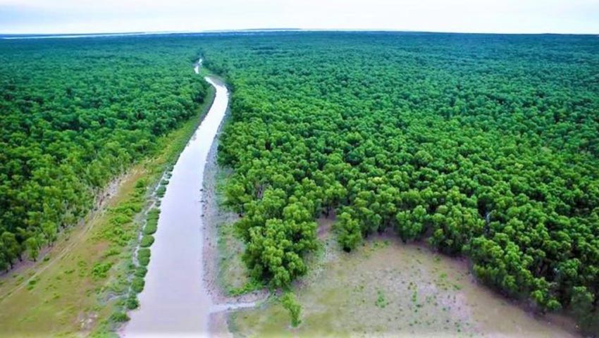 স্বাভাবিক হচ্ছে প্রকৃতির ঢাল সুন্দরবন