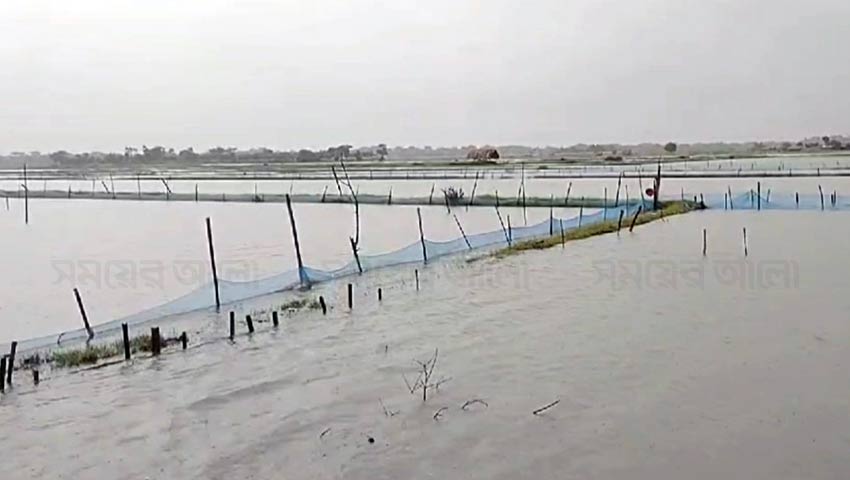 অতি বৃষ্টিতে মোংলায় বন্যা পরিস্থিতি, একাকার শত শত চিংড়ি ঘের 