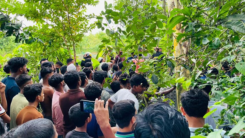 ডাল কাটতে গিয়ে বিদ্যুৎস্পৃষ্ট, গাছে ঝুলছিল দিনমজুরের মরদেহ
