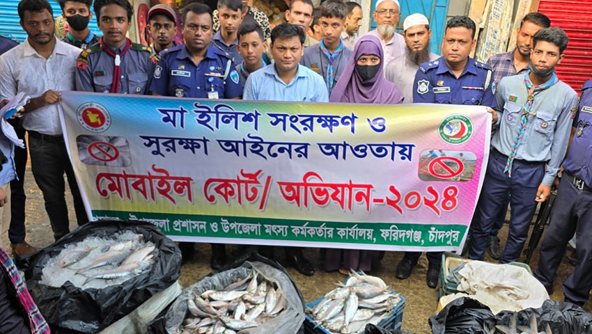 জব্দকৃত ১৮৮ কেজি ইলিশ গেল এতিমখানায়, ৩ জনকে অর্থদণ্ড