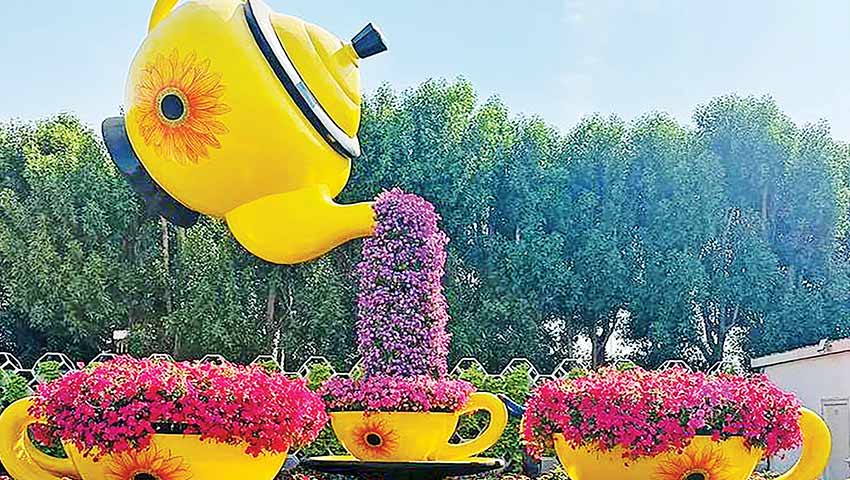 ম-ম ঘ্রাণে মাতোয়ারা সীতাকুণ্ড