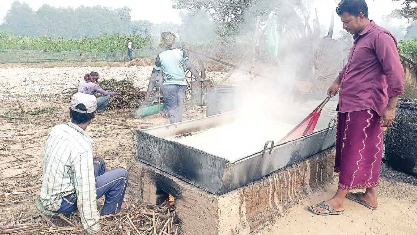 চরাঞ্চলজুড়ে রস জ্বাল দেওয়ার মিষ্টি ঘ্রাণ