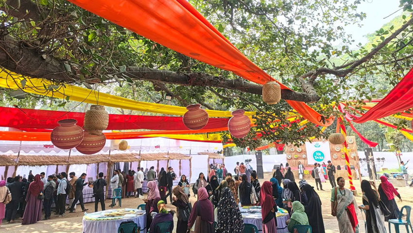 ঢাবিতে ছাত্রীসংস্থার আয়োজনে ‘হিম উৎসব’   