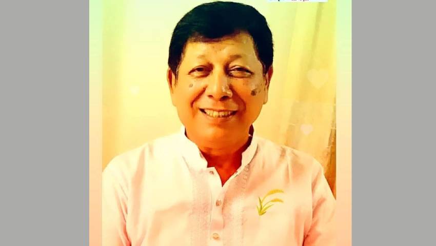 ‘জাতির ক্রান্তিলগ্নে বিএনপি ও নিরীহ আ. লীগ ঐক্যবদ্ধ হয়েছে’ 