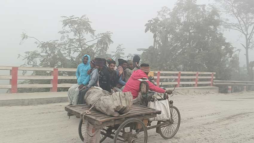 মাঘের বিদায়ে কুয়াশাচ্ছন্ন প্রকৃতি, রাতে হাড়কাঁপানো শীত