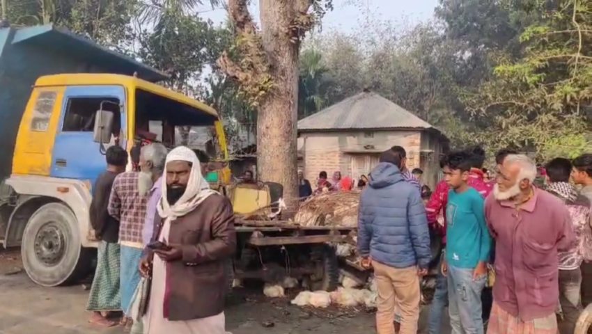 ট্রাক ও ভটভটির মুখোমুখি সংঘর্ষে নিহত ২ 