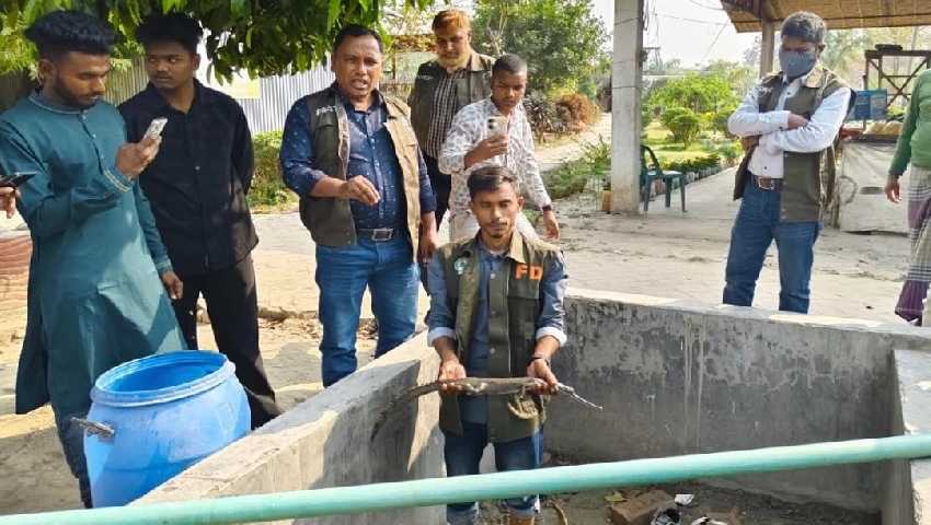ইউটিউব ভিলেজ পার্কে মিলল ‘মহাবিপণ্ন’ ঘড়িয়াল