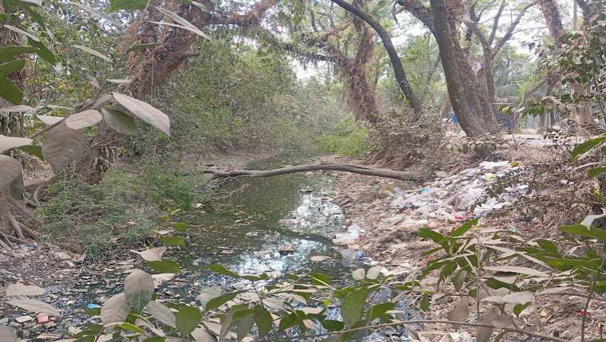 আ. লীগের দোসরদের বাধায় অস্তিত্ব সংকটে চরঠিকা খাল