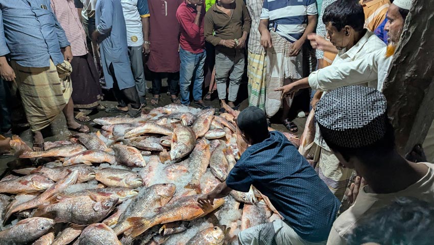 জেলের জালে ধরা পড়ল ৬ হাজার কেজি লাল কোরাল