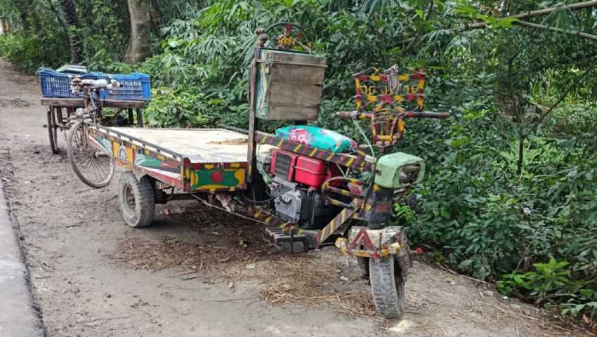নসিমন উল্টে গরু ব্যবসায়ী নিহত