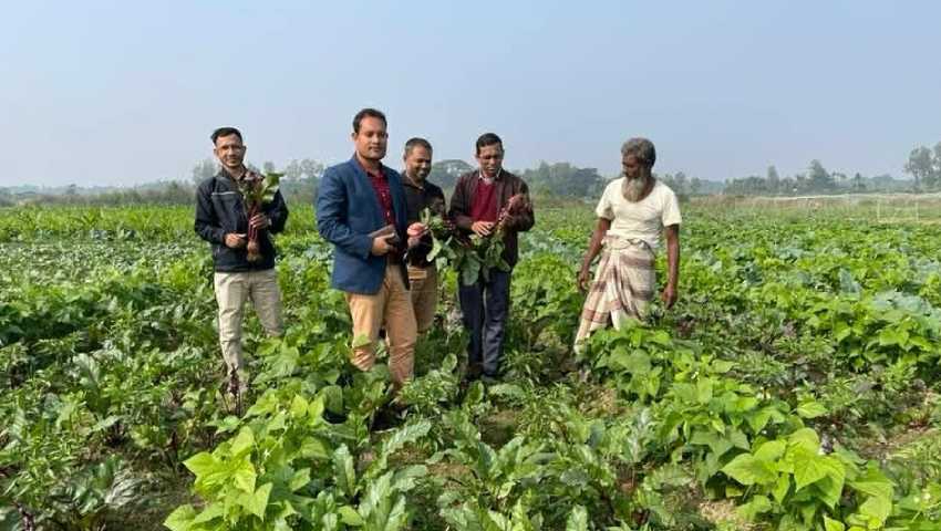 বিটরুট উৎপাদনে কৃষকের সাফল্য