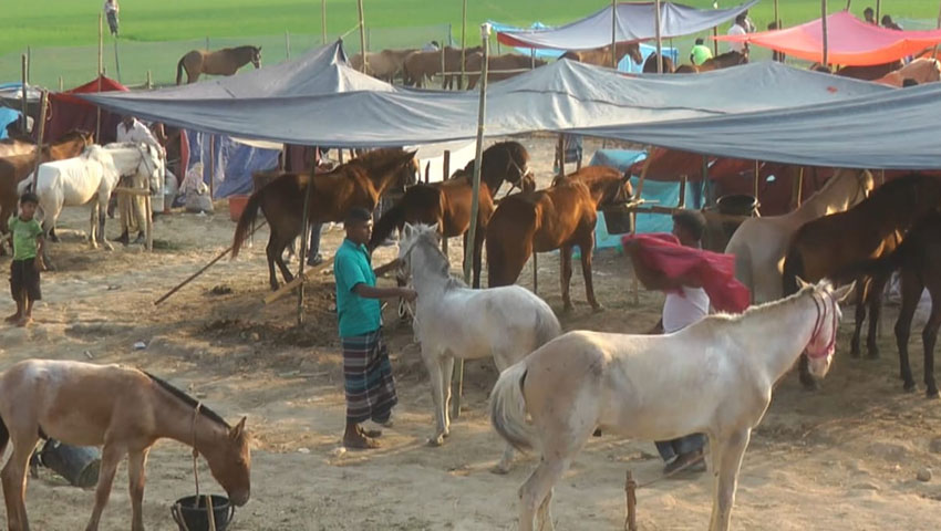 দোল পূর্ণিমায় জমেছে ঘোড়ার হাট 