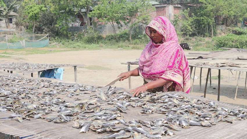 দেশীয় মাছ সংকটে শুঁটকি উৎপাদন ব্যাহত