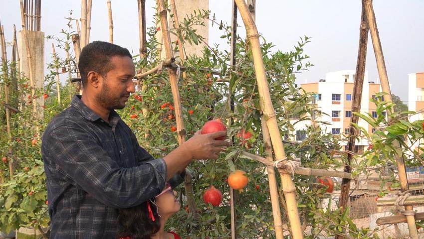 বাড়ির ছাদে ২০০ জাতের বিদেশি ফল, প্রভাষকের বাজিমাত