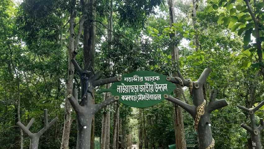 ঈদের ছুটি ঘিরে পর্যটকদের বরণে প্রস্তুত ‘চায়ের দেশ’ মৌলভীবাজার