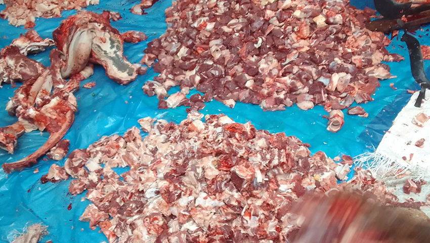 তাড়াশে জনপ্রিয় হয়ে উঠছে গোশত সমিতি