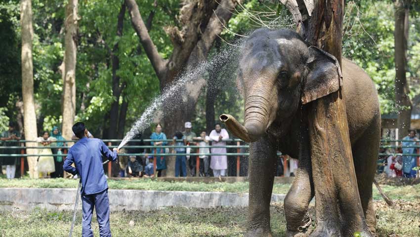 ঈদের ছুটিতে চিড়িয়াখানা যেন পরিণত হয়েছে শিশুদের আনন্দমেলায়। ছবি : সময়ের আলো