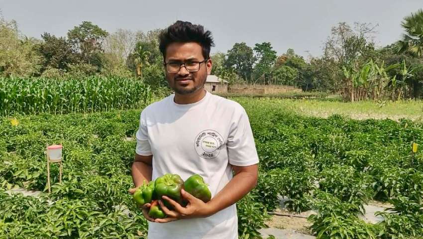ক্যাপসিকাম চাষে সফল হলেও দামে হতাশা কৃষকদের 