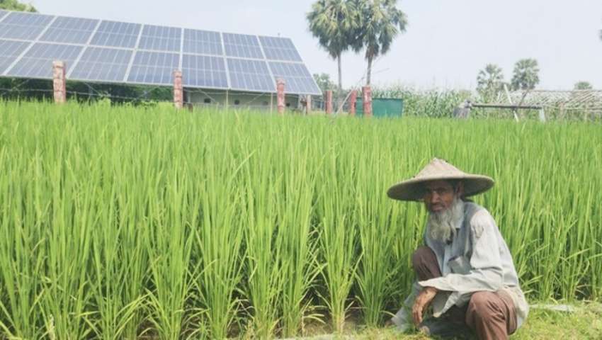 জ্বালানি সংকটে ভরসা সোলার পাম্প