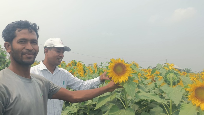 সূর্যের রঙে বদলে যাচ্ছে মিরসরাইয়ের কৃষকের ভাগ্য