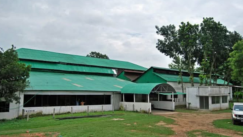 সুরমা চা বাগানে ৪ সপ্তাহ বেতন বন্ধ, খাদ্য সংকটে শ্রমিকরা