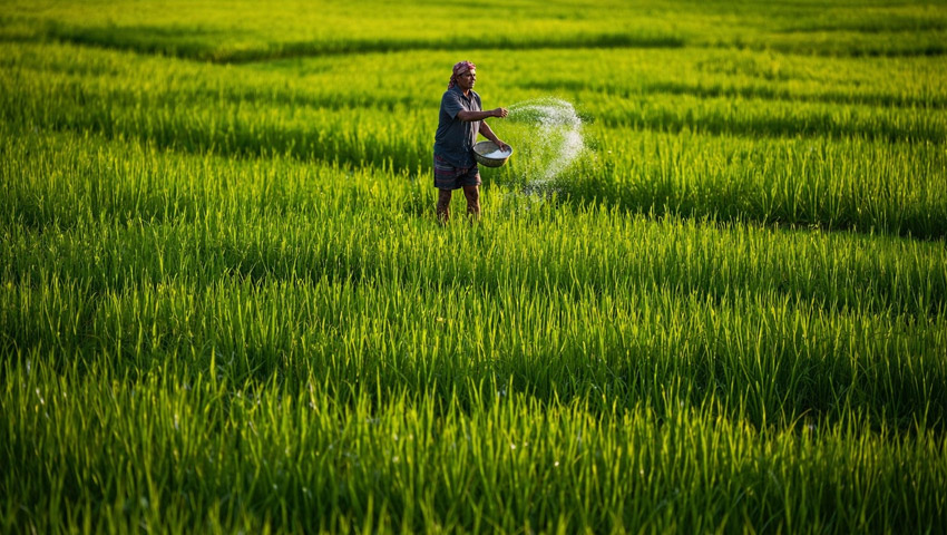 ডিজেল পেতে কৃষকের নাভিশ্বাস, গাইবান্ধায় ঝুঁকিতে বোরো আবাদ