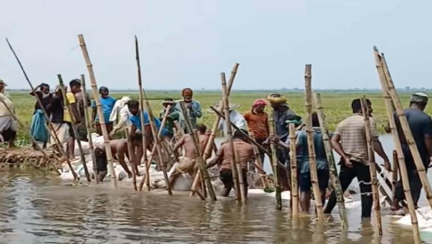 অতিবৃষ্টির পানিতে চোখের সামনে তলিয়ে যাচ্ছে কৃষকের স্বপ্ন