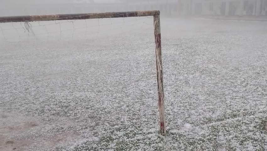 শিলাবৃষ্টিতে বোরো ধান ও শাকসবজির ব্যাপক ক্ষতি