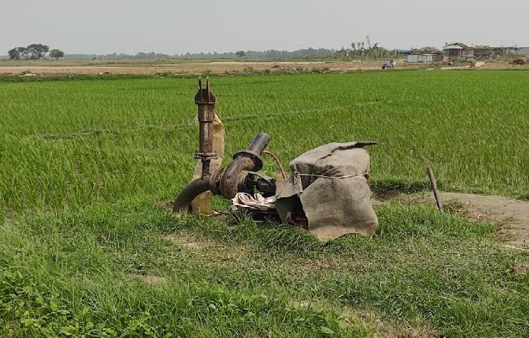 ডিজেল সংকট : চলনবিলে বোরো উৎপাদন নিয়ে দুচিন্তায় কৃষক