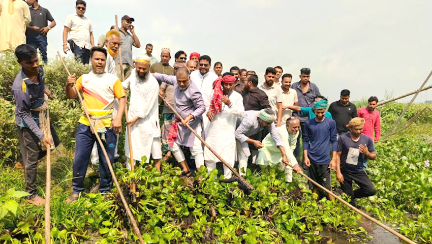 খালের কচুরিপানা পরিষ্কার করলেন সংসদ সদস্য