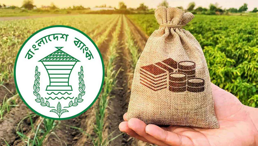বাড়ছে কৃষিঋণ, সঙ্গে ঝুঁকিও
