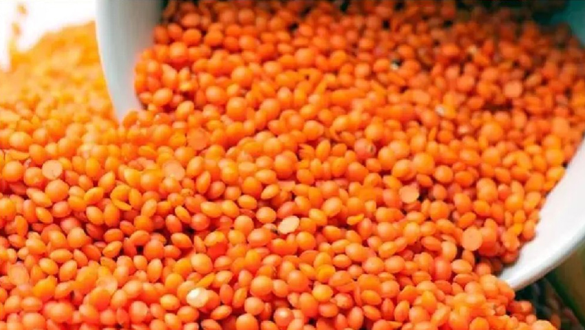 ৯ হাজার মেট্রিক টন মসুর ডাল কিনবে সরকার