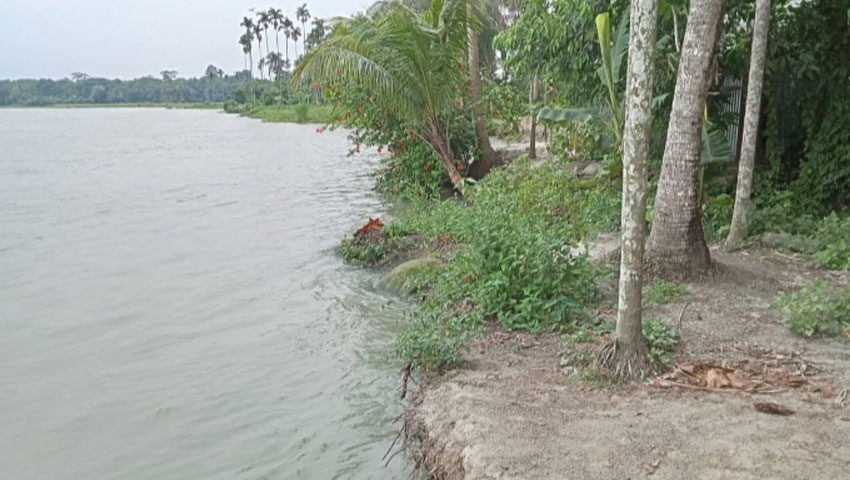সন্ধ্যা নদীর ভাঙন কেড়ে নিচ্ছে জনপদ