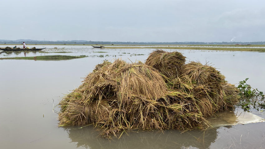 টানা বৃষ্টিতে হাকালুকি হাওরে আকস্মিক বন্যার আশঙ্কা