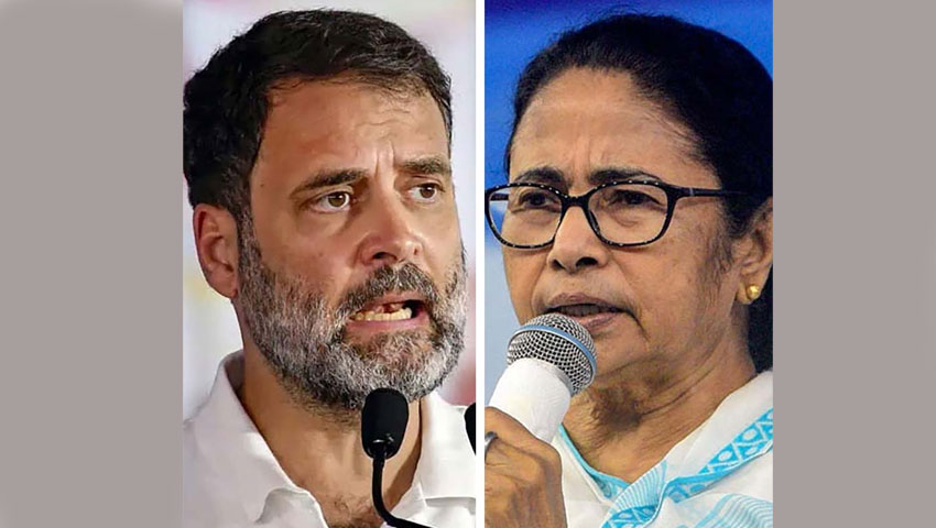 মমতার ‘আসন ছিনিয়ে নেওয়ার’ দাবির সঙ্গে একমত রাহুল গান্ধী