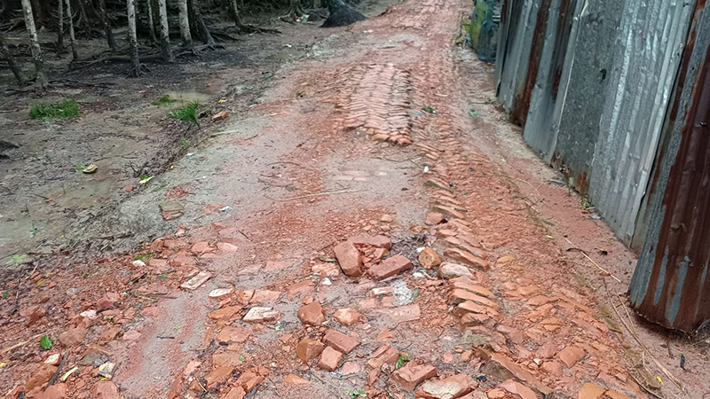মির্জাগঞ্জে ১৫ বছর ধরে সংস্কারহীন রাস্তা, জনদুর্ভোগ চরমে