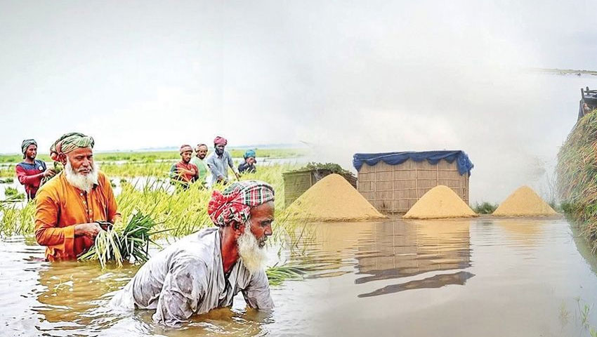 ফাইলবন্দী প্রকল্পে ডুবেছে স্বপ্ন 