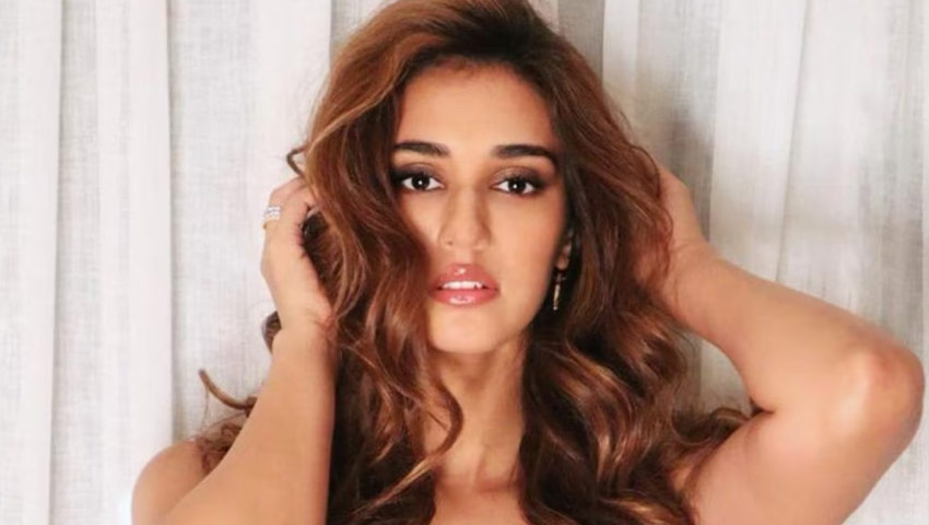 হলিউডে দিশার যাত্রা শুরু  
