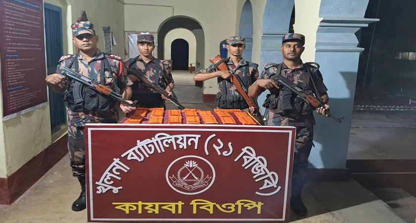 সীমান্ত অভিযানে বিপুল পরিমাণে সাইপ্রোহেপ্টাডিন ট্যাবলেট উদ্ধার