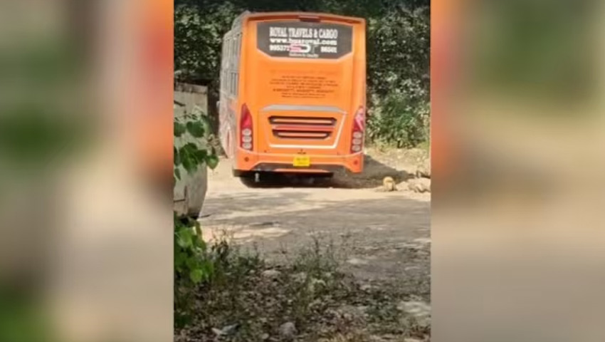 দিল্লিতে বাসের ভেতরে এক নারীকে সংঘবদ্ধ ধর্ষণ, চালক ও কন্ডাক্টর গ্রেফতার
