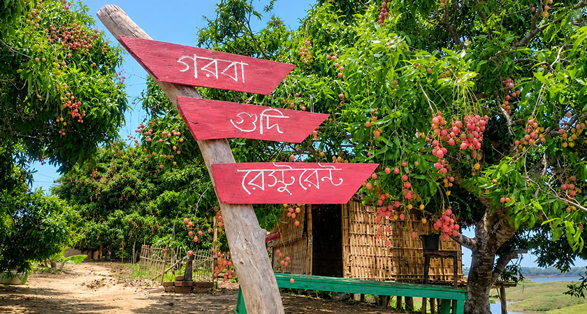 প্রথমে শুধু রেষ্টুরেন্ট হলেও, পরে গরবা গুদিকে হোম স্টে হিসেবেও গড়ে তোলা হয়।