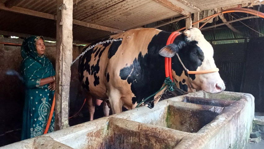 প্রস্তুত জামালপুরের ‘জমিদার’