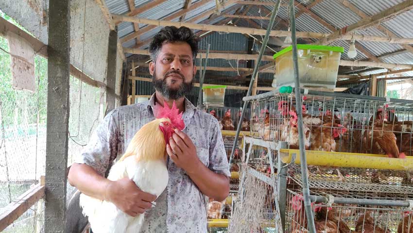  মুরগির খামারেই স্বপ্নের ঠিকানা, সফলতার গল্প বাবা-ছেলের