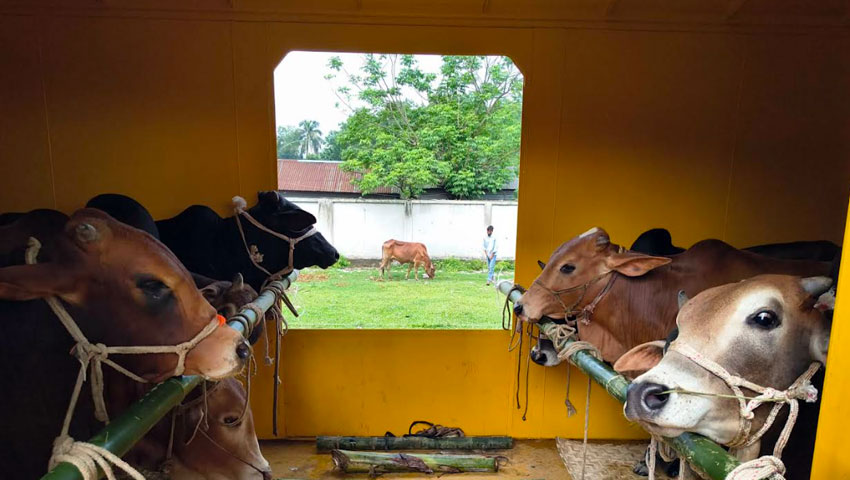 কম খরচে নিরাপদ যাত্রা